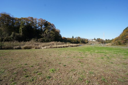 うるいど自然公園の画像5