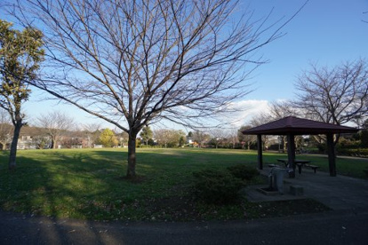 誉田さくら公園の画像1