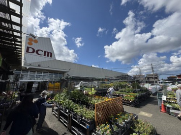 DCM鎌取店の画像1