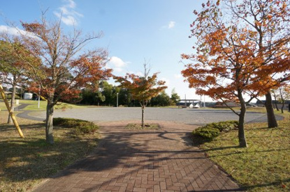 神無月公園の画像2