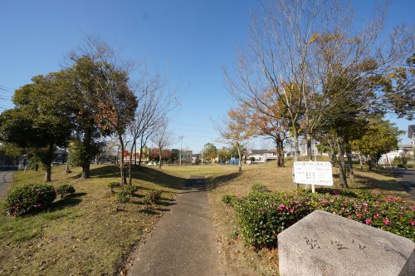 弥生公園の画像1