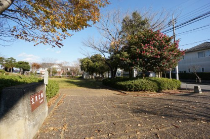 文月公園の画像2