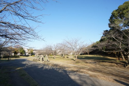 おゆみ野はるのみち公園の画像1
