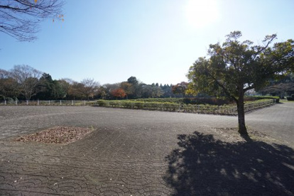 昭和の森の画像3
