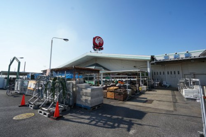 コメリハード＆グリーン市原古市場店の画像1