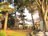 丸子山公園