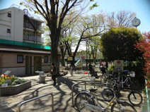 品川区立荏原中央公園
