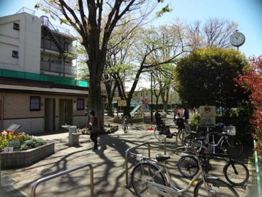 品川区立荏原中央公園の画像1