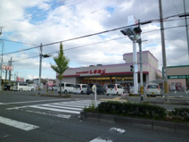 ファッションセンター しまむら伏見店