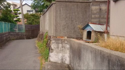 今は亡きラッキーの家の画像2