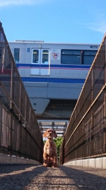 大阪モノレールが頭をかすめる歩道橋#1の画像4