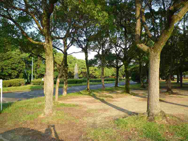中央緑地公園の画像2