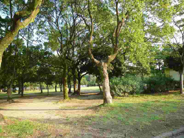 中央緑地公園の画像3