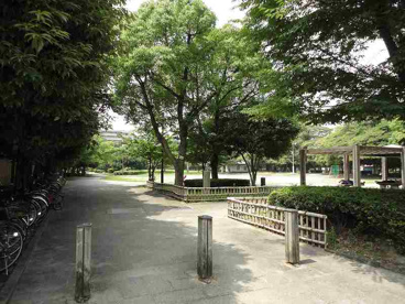 鵜の森公園の画像1