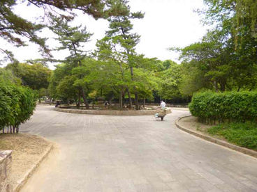 鵜の森公園の画像3