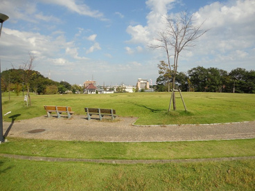 南部丘陵公園（北ゾーン）の画像5