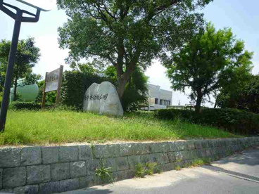 楠中央緑地公園の画像1