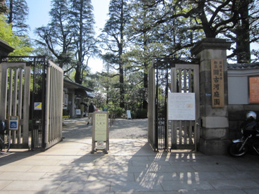 旧古河庭園の画像1