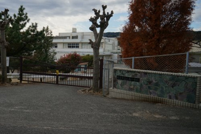 日立市立日高小学校の画像1
