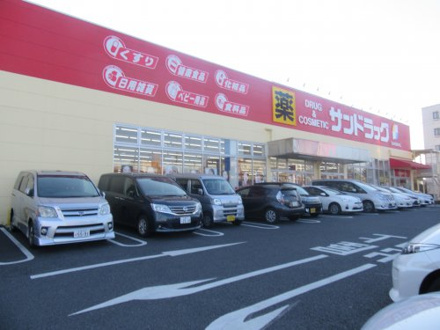 サンドラッグ宮野木店