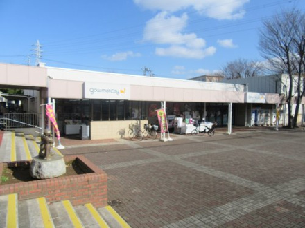 ビッグ・エー 千葉あやめ台団地店