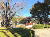 区立　野沢公園
