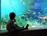 しながわ水族館