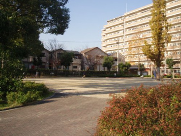原町公園の画像1
