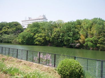 三保ヶ池の画像1