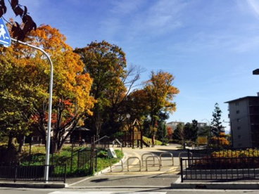 千里丘上公園の画像1