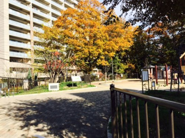 千里丘上公園の画像3