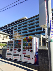 ｽﾀｯﾌｲﾝﾀｰﾅｼｮﾅﾙ駐車場の画像2