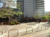 品川区立谷山公園