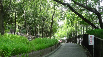 新芦屋中央公園の画像1