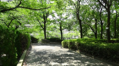 新芦屋中央公園の画像3