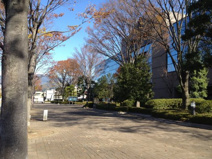 甲府市総合市民会館