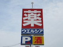 ウエルシア薬局甲府徳行店