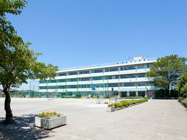 戸田市立美女木小学校の画像1