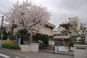蕨市立中央小学校の画像1
