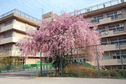 さいたま市立 原山中学校の画像1
