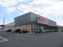 オギノ下石田店