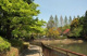 谷戸池公園の画像