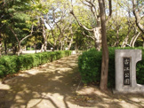 公園 古江公園