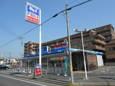 ビッグ・エー大宮盆栽店の画像1