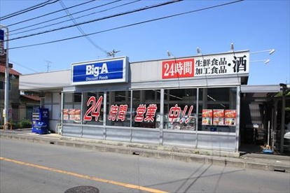 ビッグ・エー上小町店の画像1