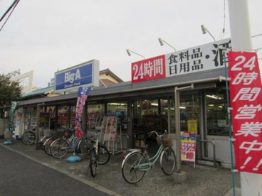 ビッグ・エー中青木店の画像1