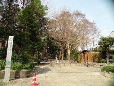 都立林試の森公園の画像1