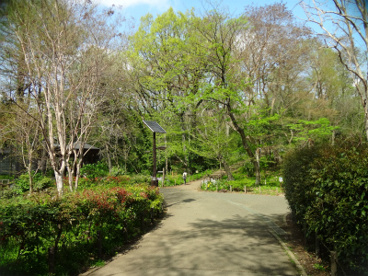 都立林試の森公園の画像2