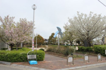 渋谷公園