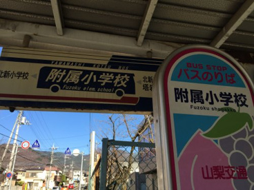 山梨大学付属小学校の画像4